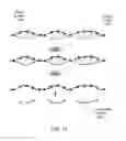 Fig. 10 - STRING GRAPH ASSEMBLY FOR POLYPLOID GENOMES