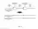 Fig. 12 - STRING GRAPH ASSEMBLY FOR POLYPLOID GENOMES