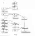 Fig. 04 - FAINT AND FALL ASSESSMENT