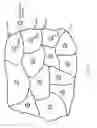 Fig. 11 - Privacy-compliant analysis of health by transaction data