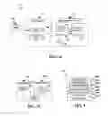 Fig. 07 - Malicious mobile code runtime monitoring system and methods