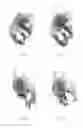 Fig. 06 - Fake finger discrimination device and method
