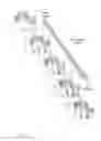 Fig. 12 - Fingerprint preview quality and segmentation