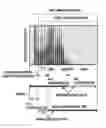 Fig. 01 - OBJECT RECOGNITION DEVICE