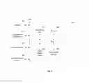 Fig. 10 - Method and apparatus for semantic association of images with augmentation data
