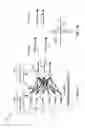Fig. 10 - NEURONAL DIVERSITY IN SPIKING NEURAL NETWORKS AND PATTERN CLASSIFICATION