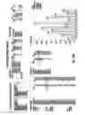 Fig. 19 - COMPREHENSIVE EXPOSURE NETWORK ANALYSIS