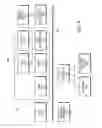 Fig. 12 - Validation of end-item completeness for product demands