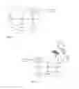 Fig. 05 - VERIFICATION OF RESPONSE TO INQUIRY
