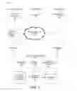 Fig. 02 - PERSONALIZING DELIVERY CHOICES