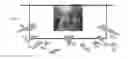 Fig. 01 - High resolution free-view interpolation of planar structure