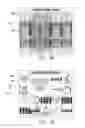 Fig. 05 - GAMING DEVICE HAVING MULTI-REEL SYMBOLS