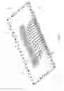 Fig. 02 - Growing spine model