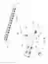 Fig. 07 - Growing spine model