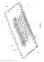 Fig. 08 - Growing spine model