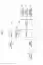 Fig. 08 - Display apparatus