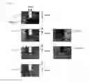 Fig. 06 - Charged particle beam apparatus