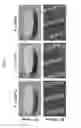 Fig. 10 - Methods of fabricating micro- and nanostructure arrays and structures formed therefrom