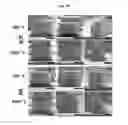 Fig. 20 - Methods of fabricating micro- and nanostructure arrays and structures formed therefrom