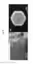 Fig. 22 - Methods of fabricating micro- and nanostructure arrays and structures formed therefrom