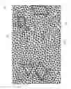Fig. 03 - DIELECTRIC LAYERS HAVING ORDERED ELONGATE PORES