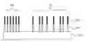 Fig. 01 - Integration of dense and variable pitch fin structures