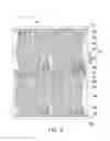 Fig. 04 - Pixel array substrate and display panel