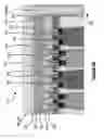 Fig. 07 - Methods of protecting a dielectric mask layer and related semiconductor devices