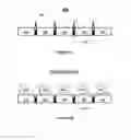 Fig. 07 - HIGH YIELD SUBSTRATE ASSEMBLY