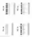 Fig. 03 - Image sensor having a plurality of phototransistors separated by trench-gate structures and method of manufacturing the same