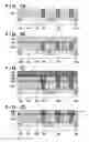 Fig. 02 - Method for manufacturing semiconductor device