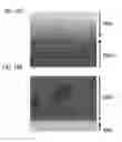 Fig. 17 - Manufacturing method of semiconductor device