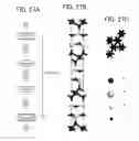 Fig. 28 - Manufacturing method of semiconductor device