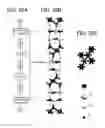 Fig. 29 - Manufacturing method of semiconductor device