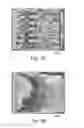 Fig. 08 - Method of manufacturing a light emitting device and thin film forming apparatus