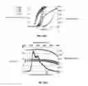 Fig. 19 - Extended OLED operational lifetime through phosphorescent dopant profile management