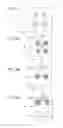 Fig. 04 - Optical sheet and light emitting apparatus