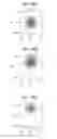 Fig. 35 - Optical sheet and light emitting apparatus