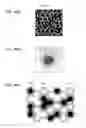 Fig. 40 - Optical sheet and light emitting apparatus