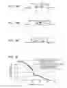 Fig. 63 - Optical sheet and light emitting apparatus