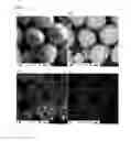 Fig. 02 - Positive electrode active material for nonaqueous electrolyte secondary battery and method of producing the same
