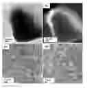 Fig. 01 - High conducting oxide—sulfide composite lithium superionic conductor