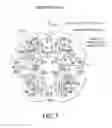 Fig. 07 - Rotary electric machine and rotor