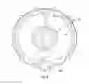 Fig. 09 - Electric motor assemblies including stator and/or rotor cooling