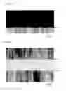 Fig. 06 - Piezoelectric thin-film resonator, method for fabricating same, filter and duplexer having an interposed film