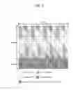 Fig. 13 - Method and apparatus of processing digital broadcasting signal in transmitter and receiver