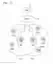 Fig. 53 - Wireless communication system and wireless communication method