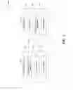 Fig. 04 - Pseudo-random sequence mapping in wireless communications