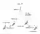 Fig. 15 - Mobile communication system, user terminal, processor, storage medium, and base station supporting proximity service communication