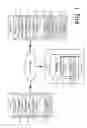 Fig. 02 - Binding a digital file to a person's identity using biometrics